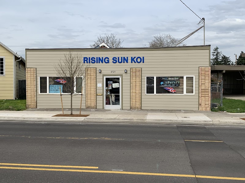 Rising Sun Koi - Photo 1