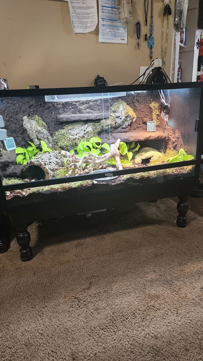 S & H Exotics - Photo 1