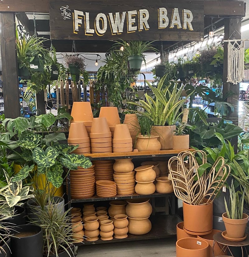 Wishing Well - Photo 1