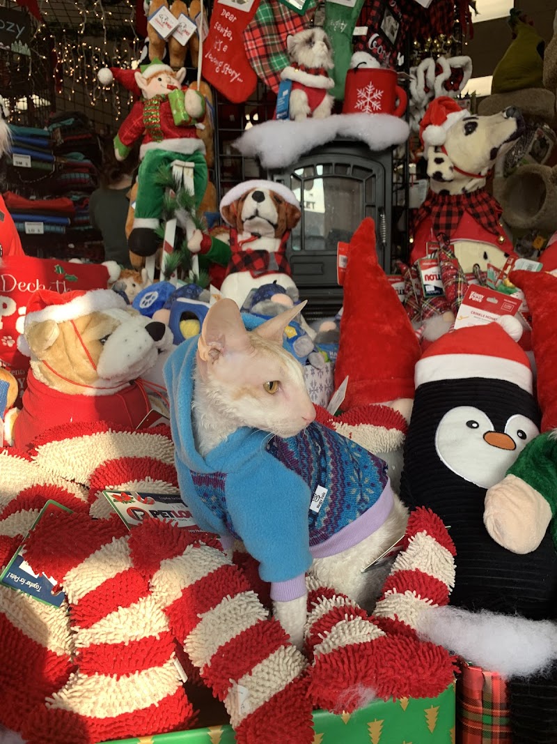 Nature's Pet Market of Medford - Photo 3