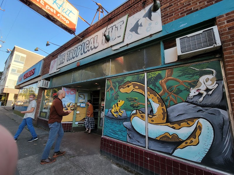 Tropical Hut - Photo 1