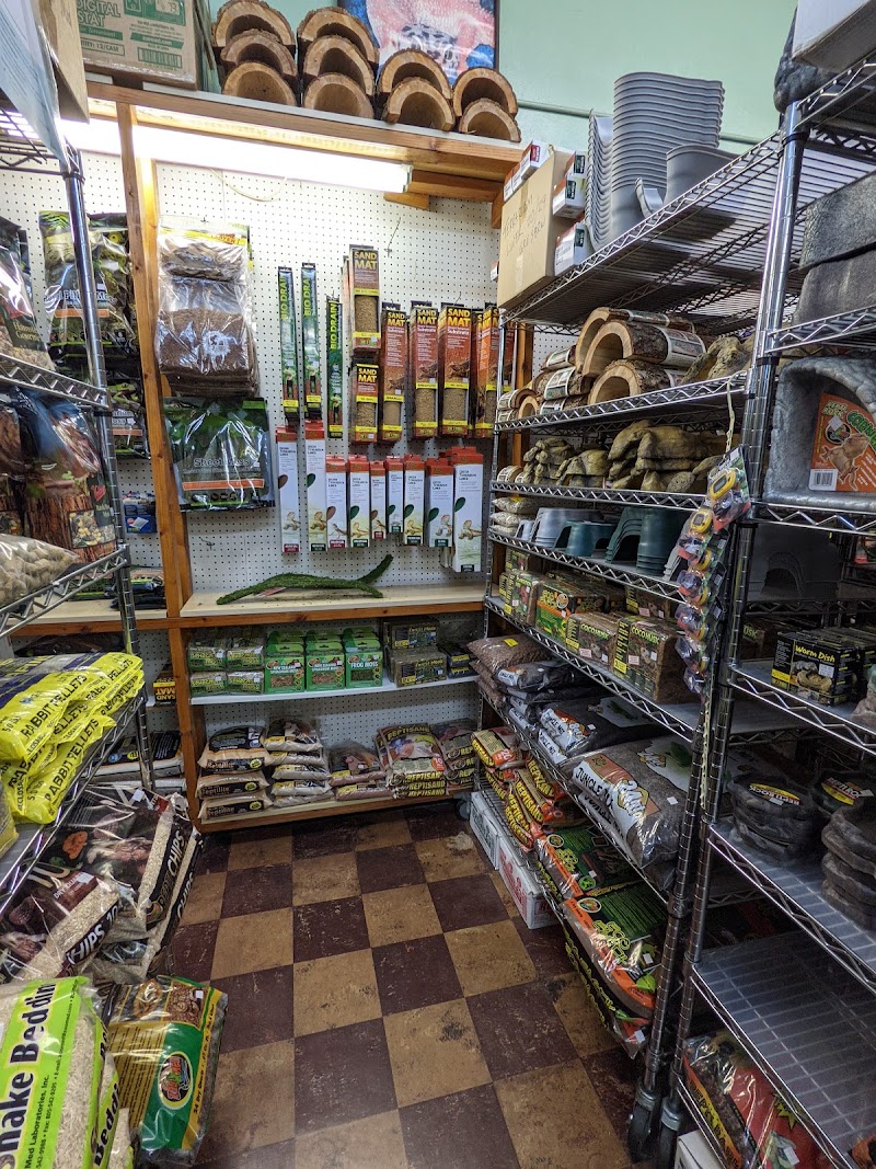 Tropical Hut - Photo 2