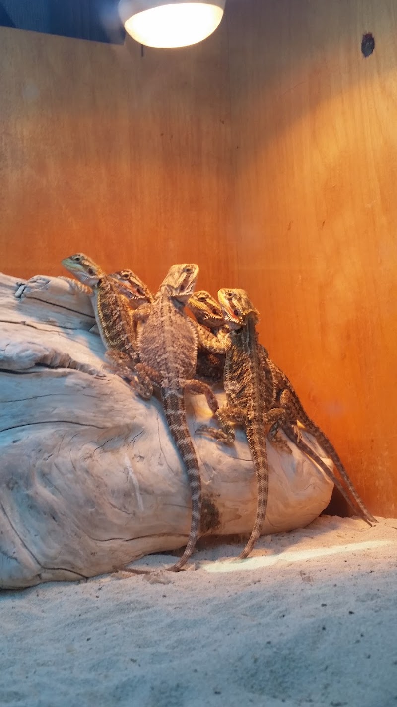 Tropical Hut - Photo 3