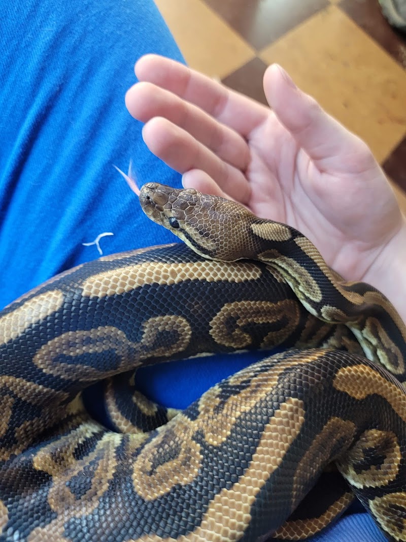 Tropical Hut - Photo 5