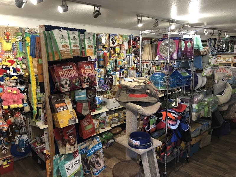 Creatures Pet Shop - Photo 5