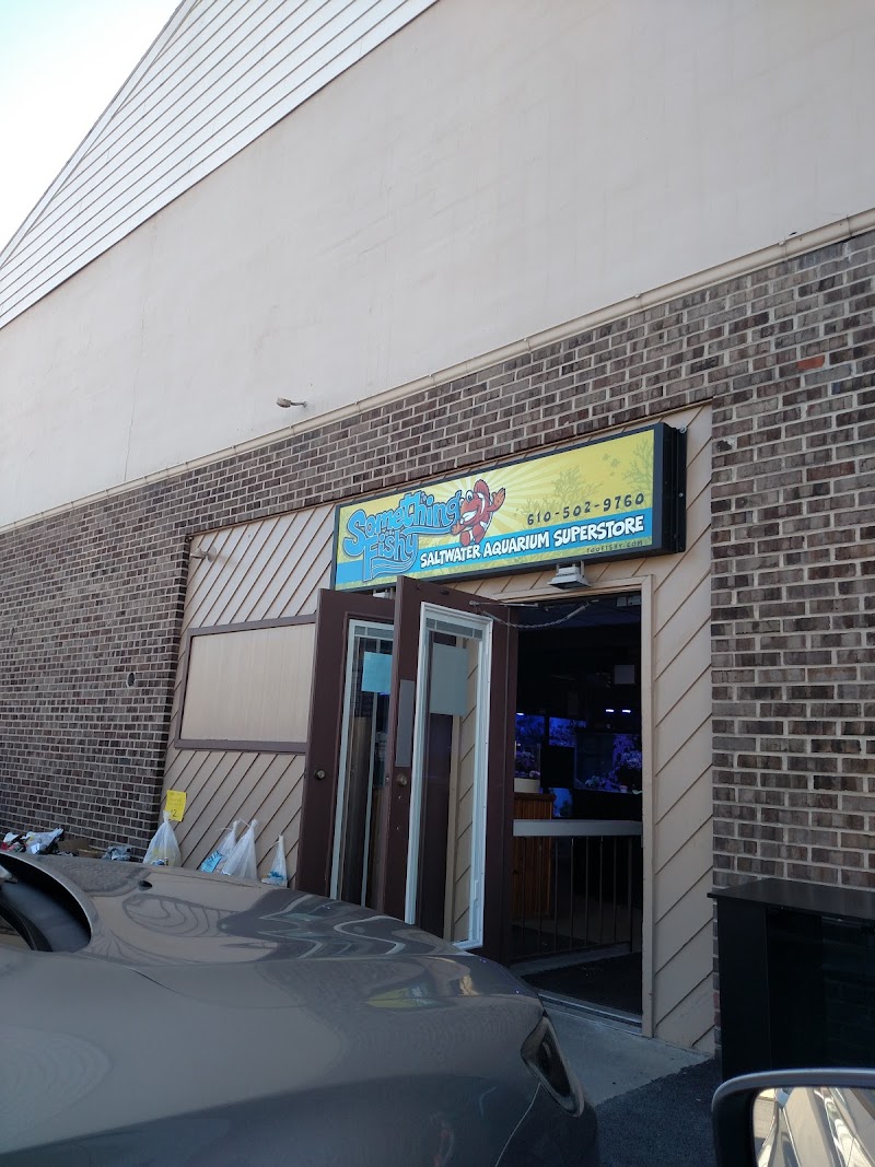 Something Fishy: Saltwater Aquarium Superstore - Photo 1