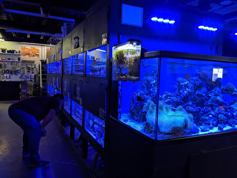 Something Fishy: Saltwater Aquarium Superstore - Photo 2