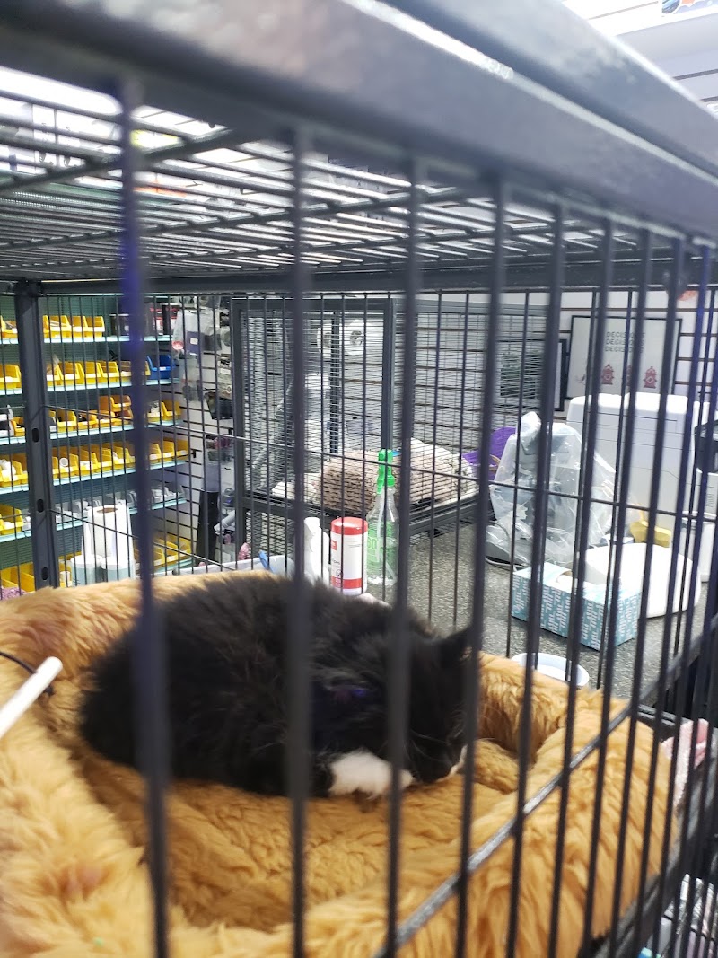 Something Fishy: Saltwater Aquarium Superstore - Photo 3