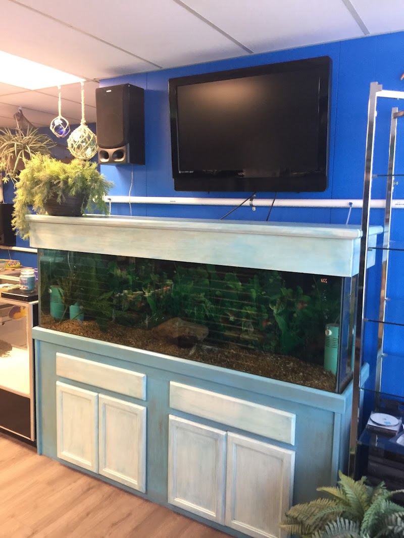 The Waters Edge Aquarium - Photo 2