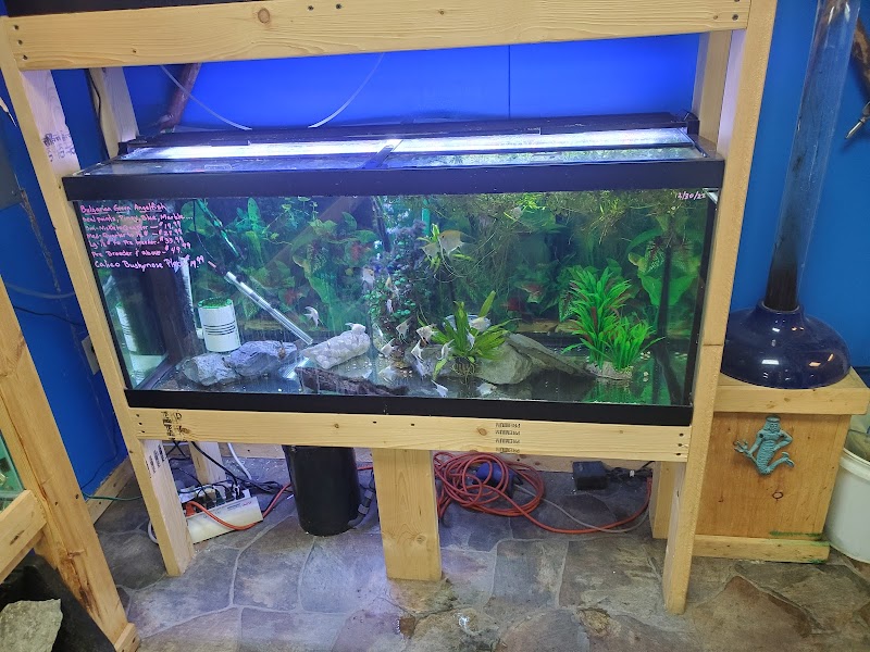 The Waters Edge Aquarium - Photo 4