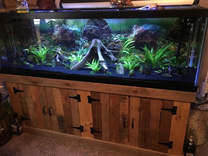 The Waters Edge Aquarium - Photo 5