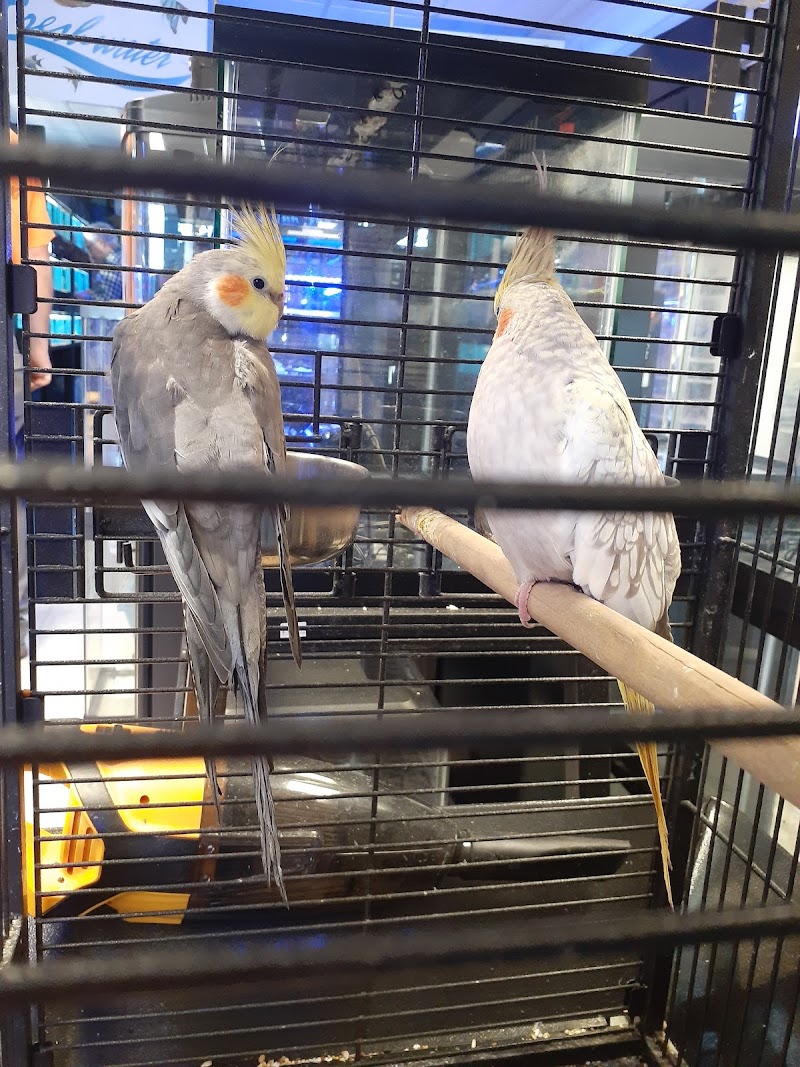 Exotic Fish & Pets - Photo 3