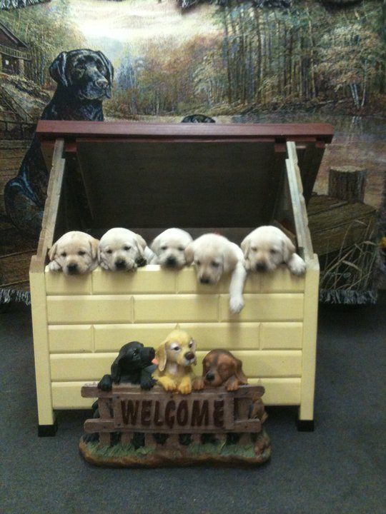 AfFORDable Pet Center, Inc. - Photo 2