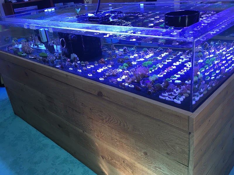 SALTWATER SHACK - Photo 1