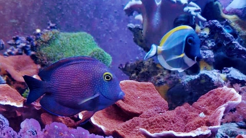 SALTWATER SHACK - Photo 2