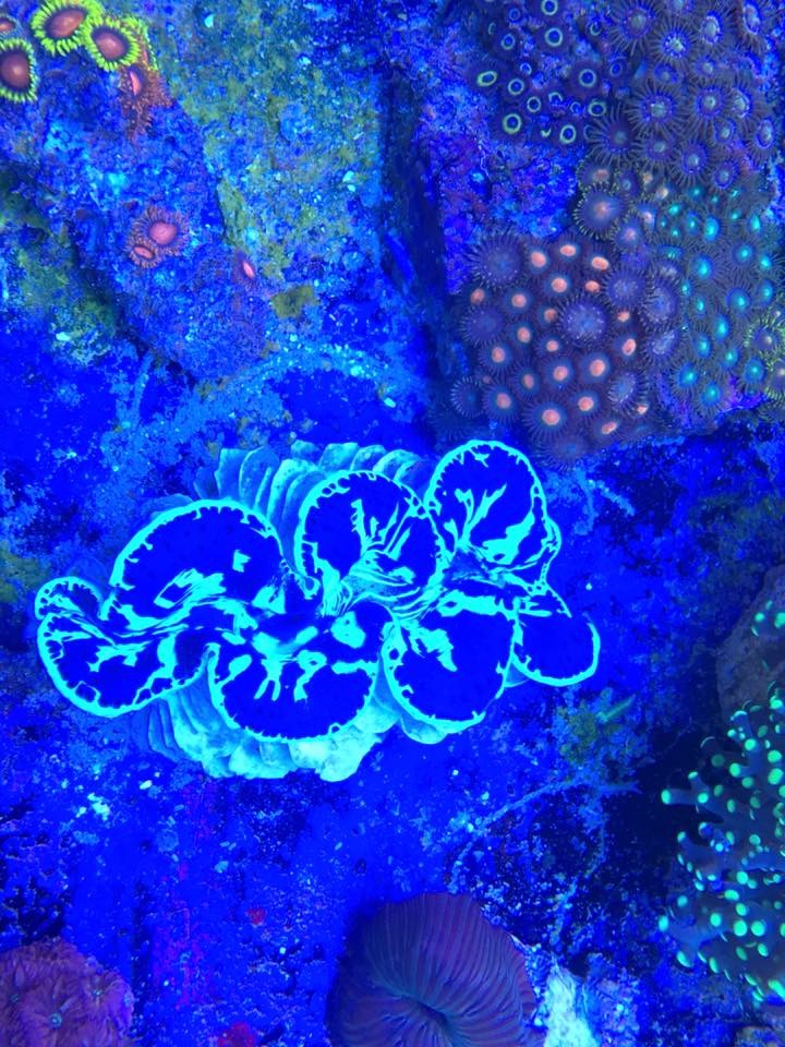 SALTWATER SHACK - Photo 3