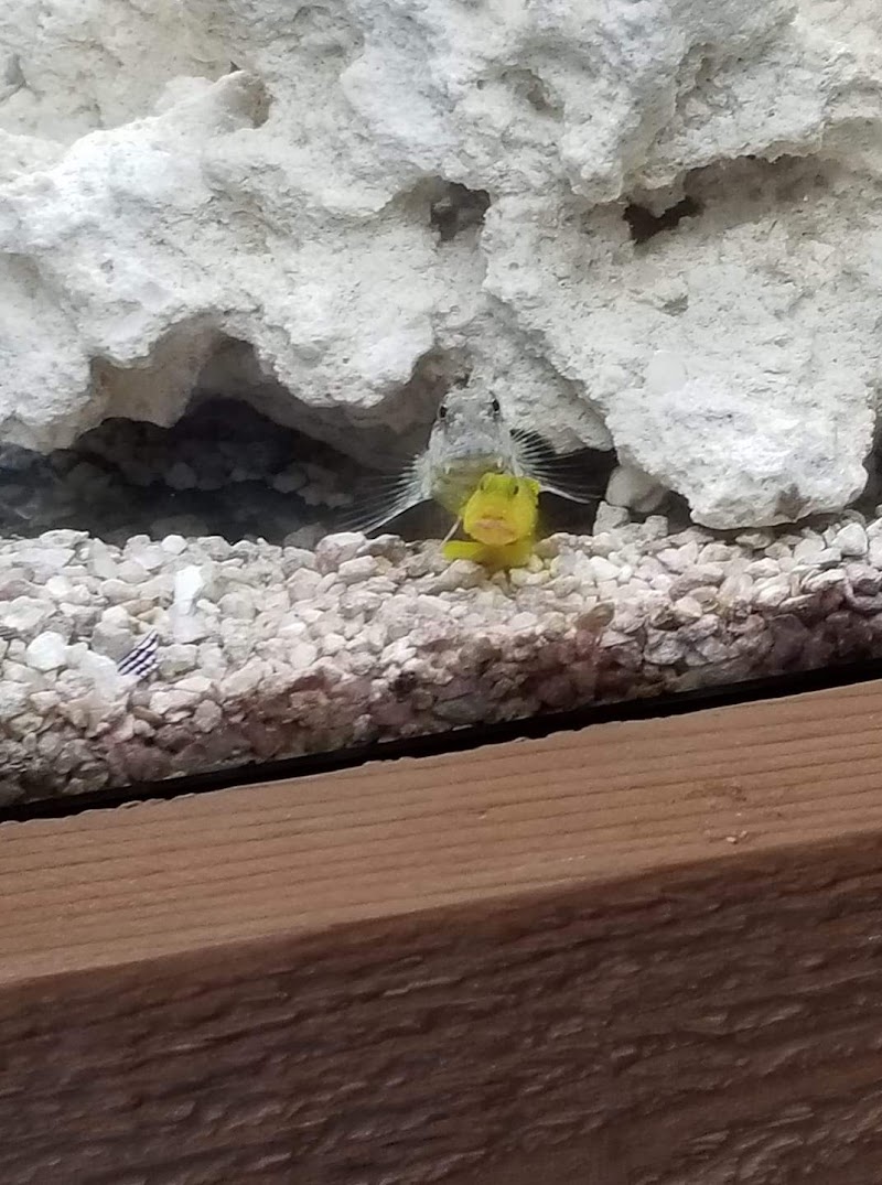 SALTWATER SHACK - Photo 4