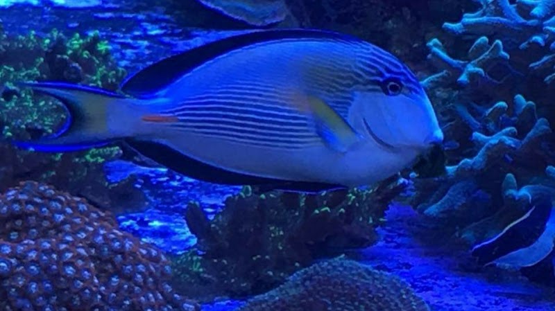 SALTWATER SHACK - Photo 5