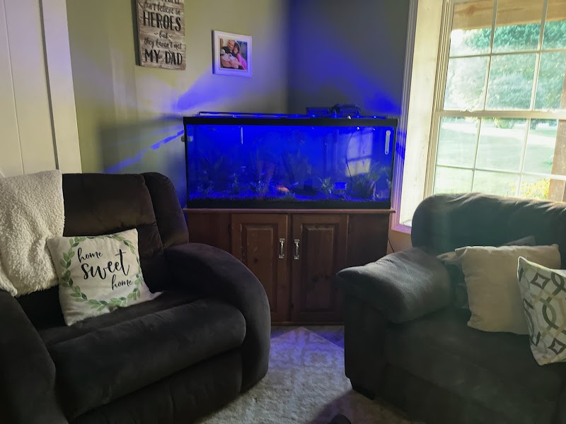 J S K's Fish & More - Photo 1