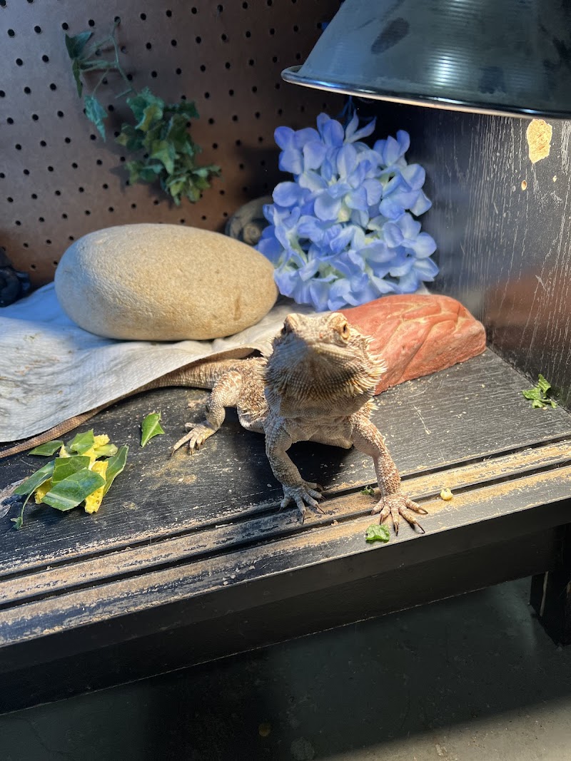 J S K's Fish & More - Photo 2