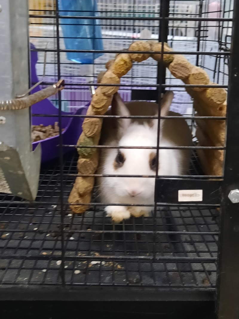 Gittler's Aquarium & Aviary - Photo 3