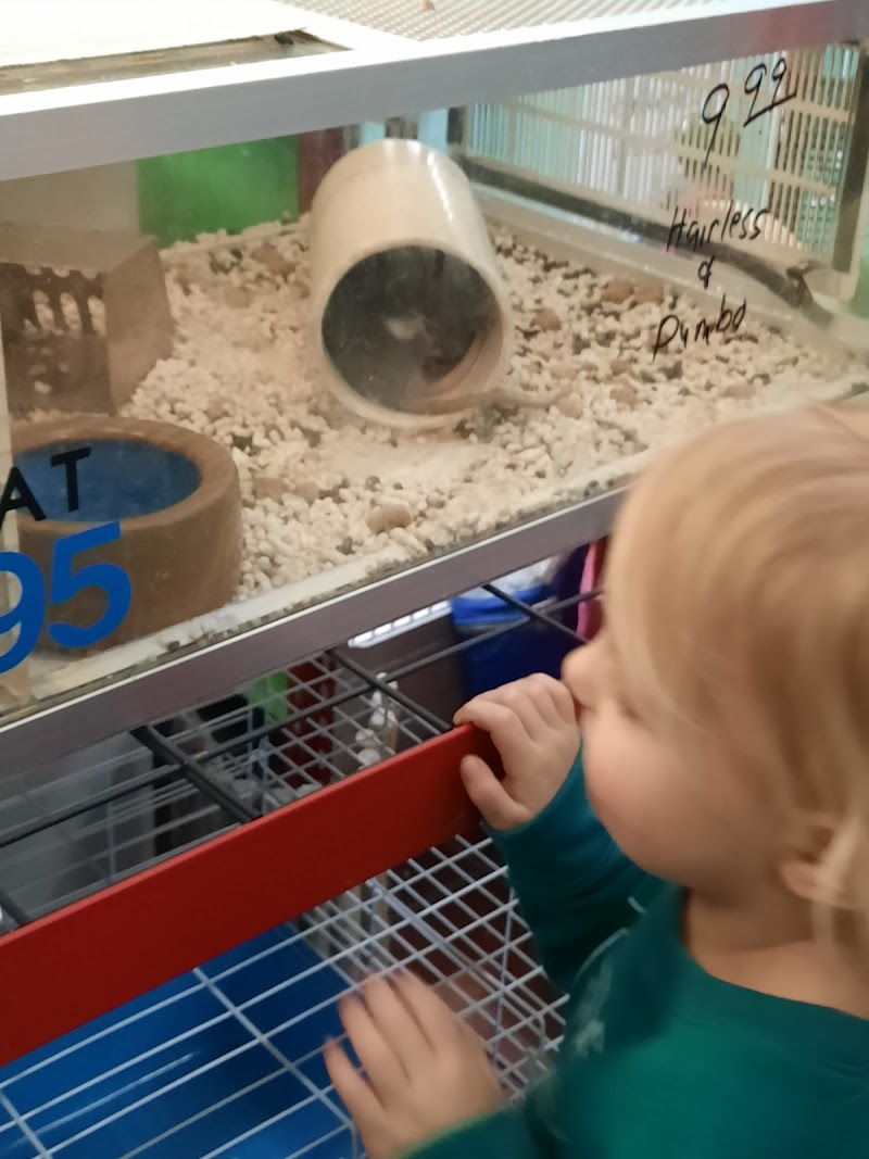 Gittler's Aquarium & Aviary - Photo 5