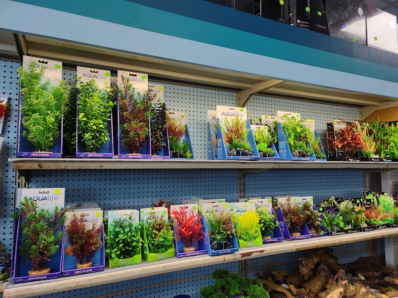 Elmer's Aquarium - Photo 2