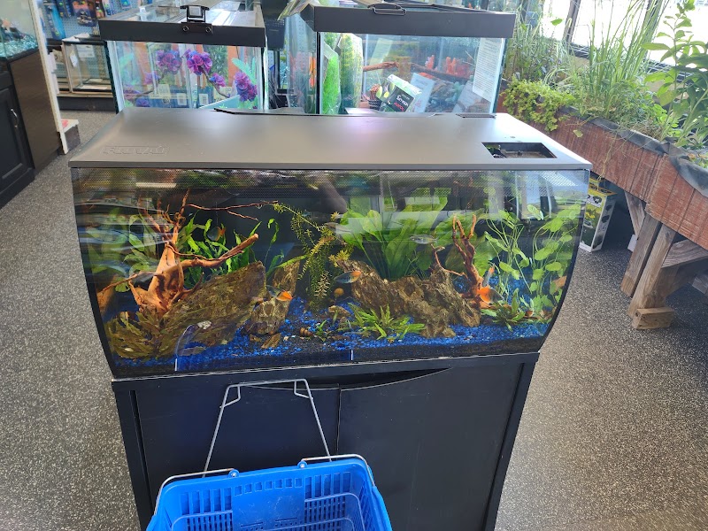 Elmer's Aquarium - Photo 3