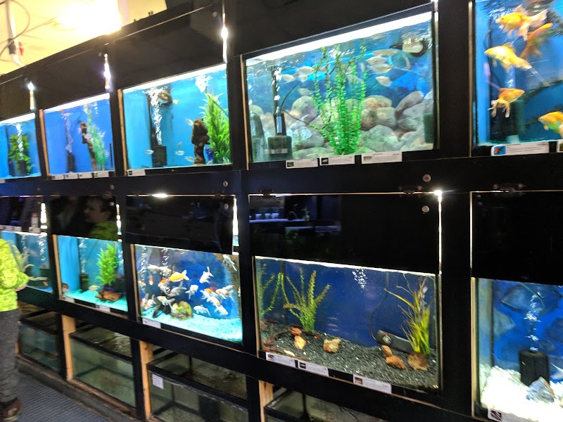 Elmer's Aquarium - Photo 4