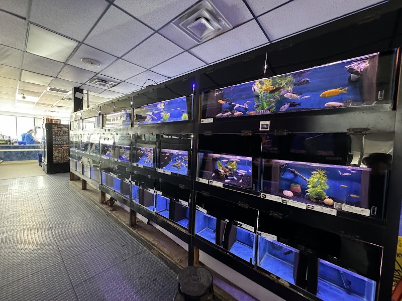 Elmer's Aquarium - Photo 5