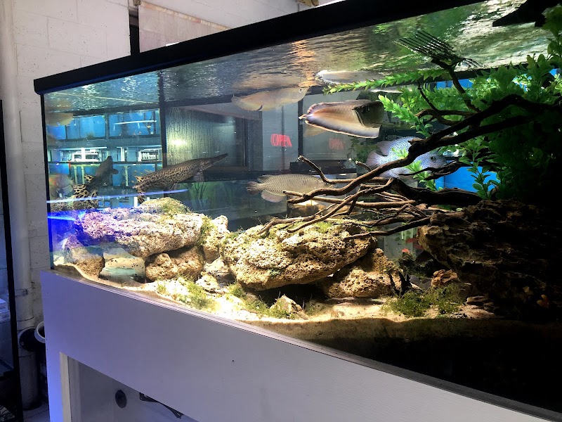 Aqua World Pet Super Center - Photo 2