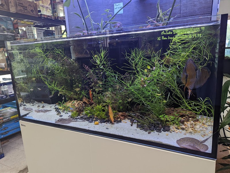 Aqua World Pet Super Center - Photo 3