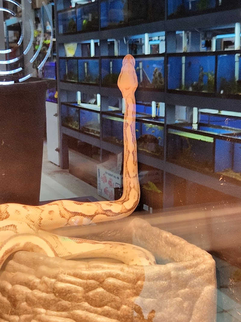 Aqua World Pet Super Center - Photo 4