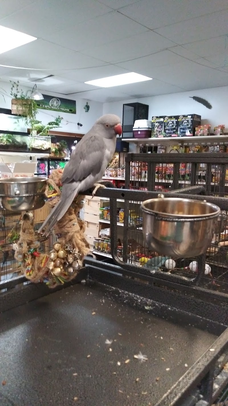 Off The Hook Exotics Pet Shop - Photo 2