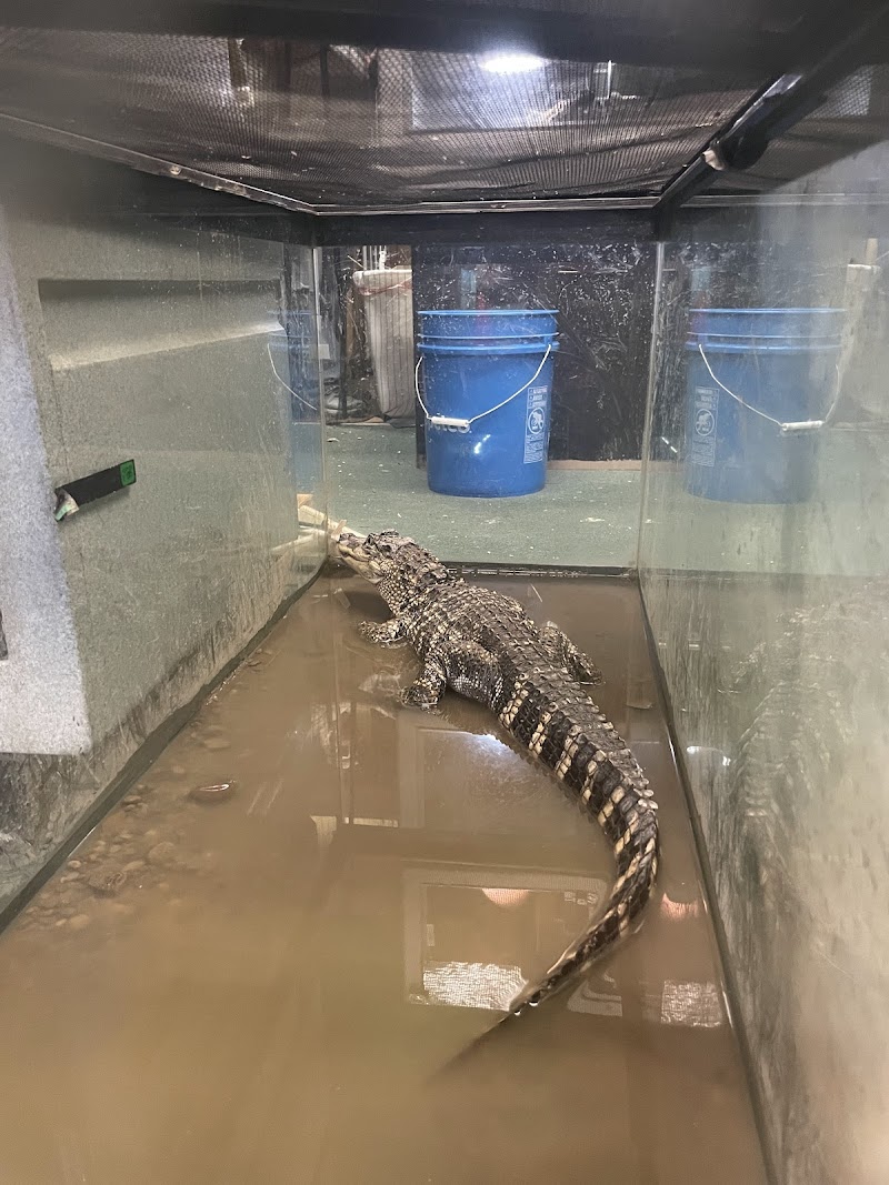 Off The Hook Exotics Pet Shop - Photo 3