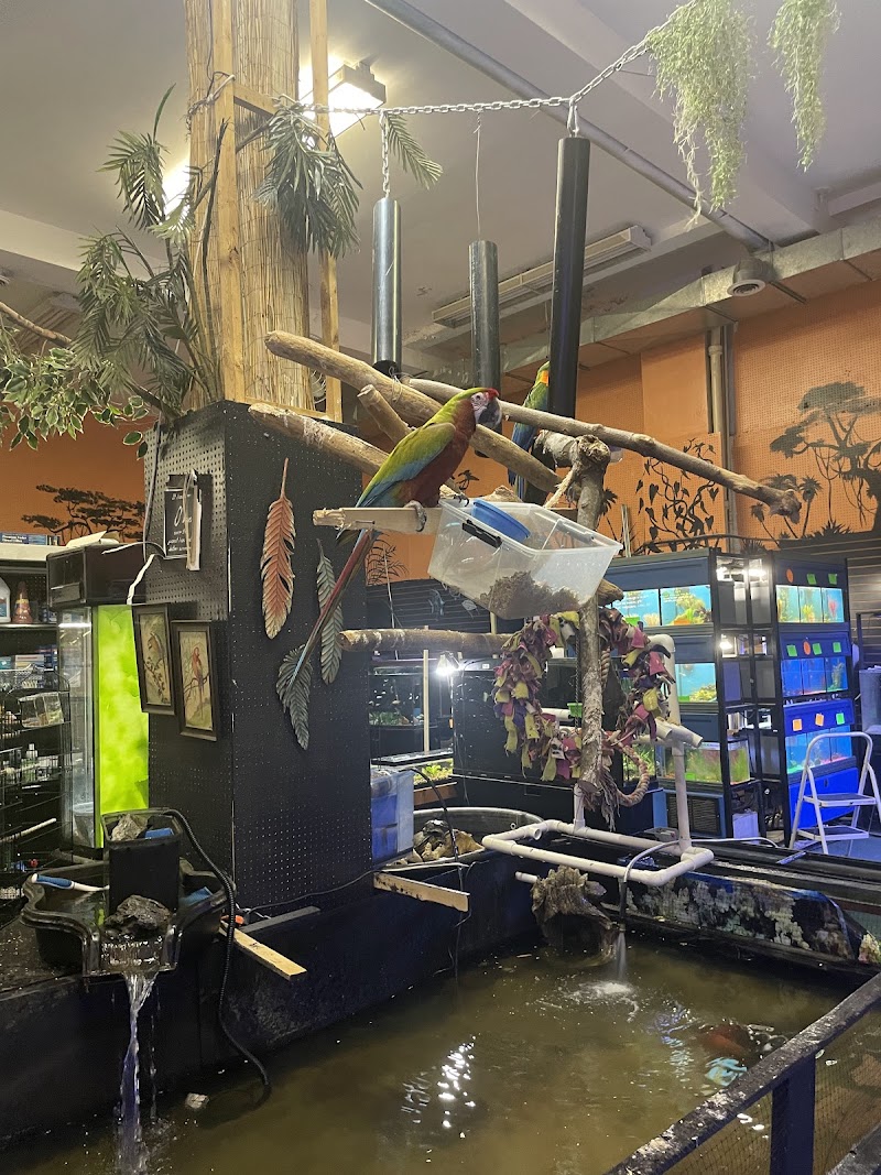 Off The Hook Exotics Pet Shop - Photo 4