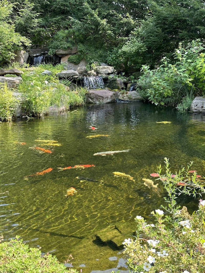 Nature's Aquatics - Photo 2