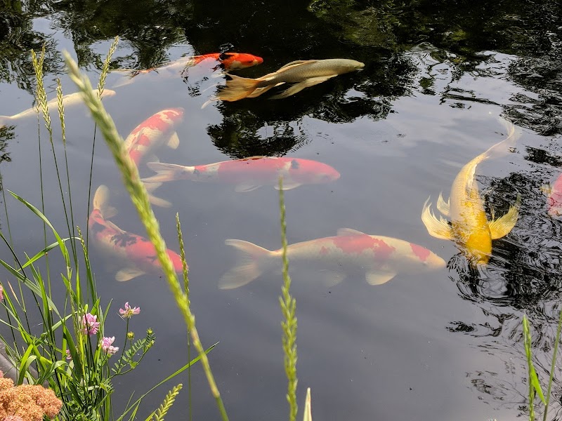 Nature's Aquatics - Photo 3