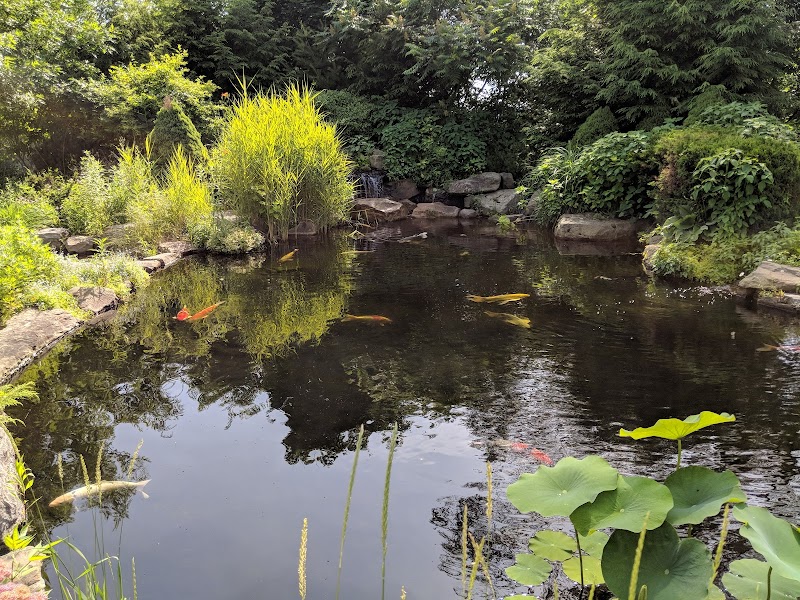 Nature's Aquatics - Photo 4