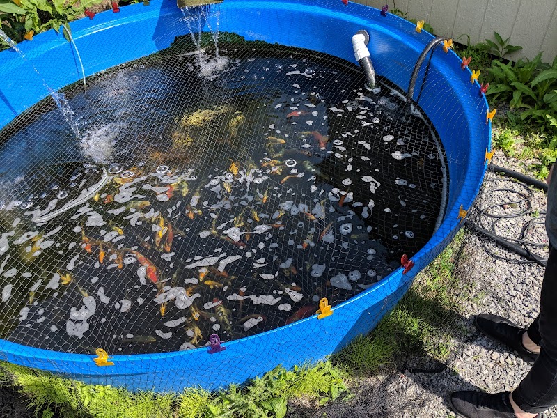 Nature's Aquatics - Photo 5