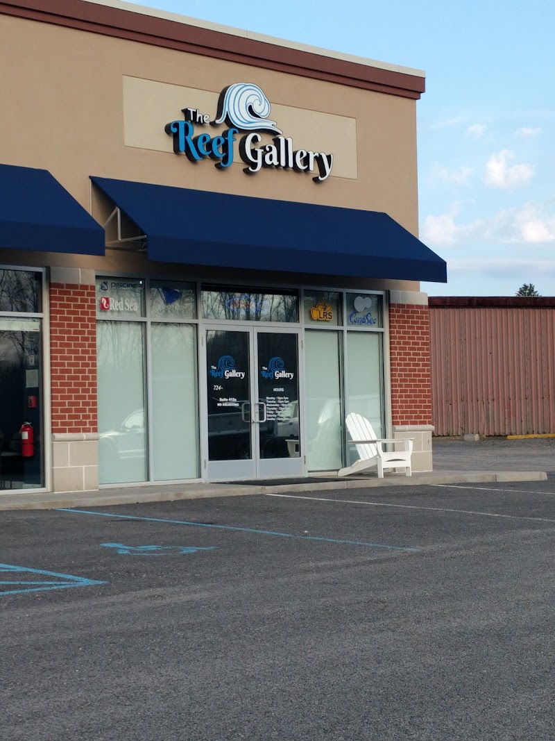 The Reef Gallery - Photo 1