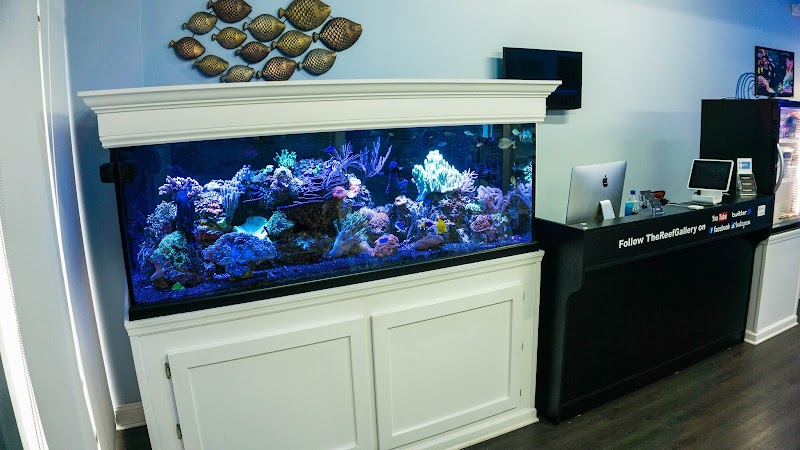 The Reef Gallery - Photo 2