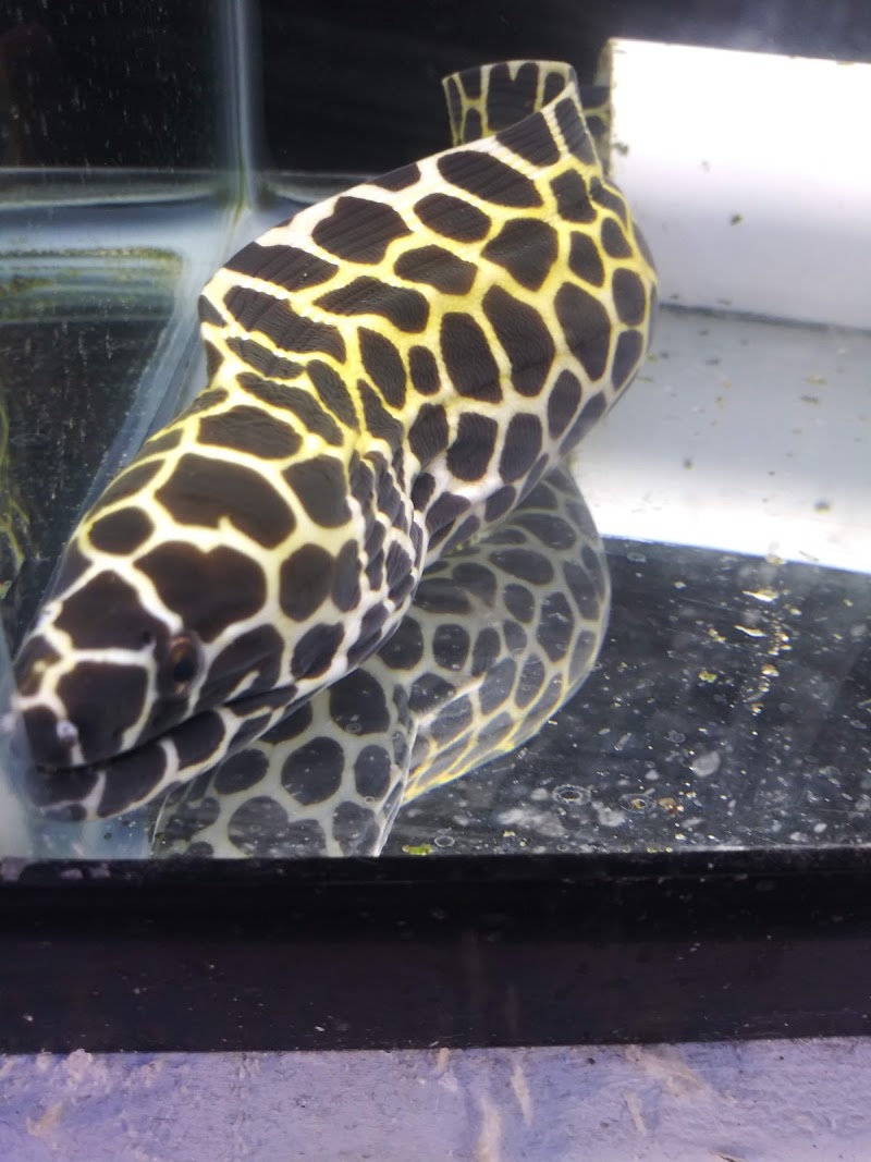 The Reef Gallery - Photo 4