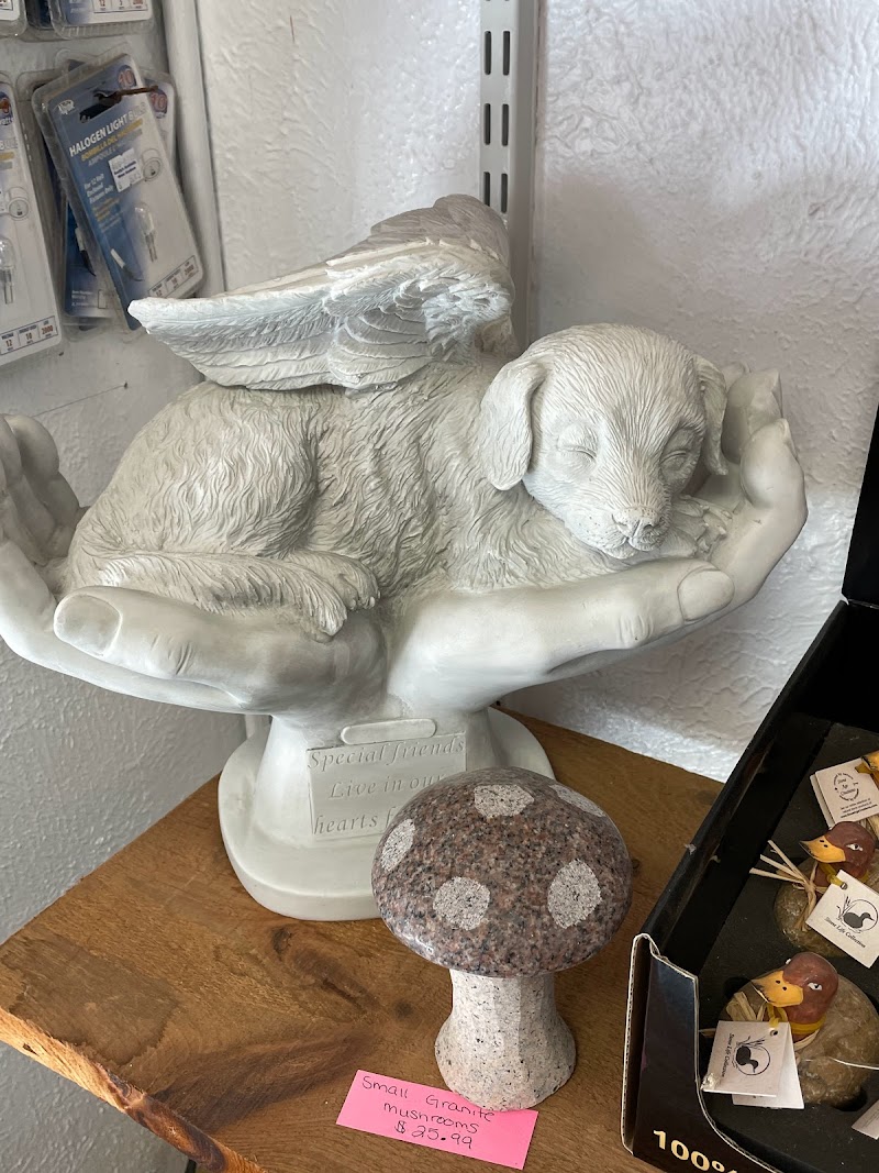 Scotty's North Hills Water Gardens - Photo 4