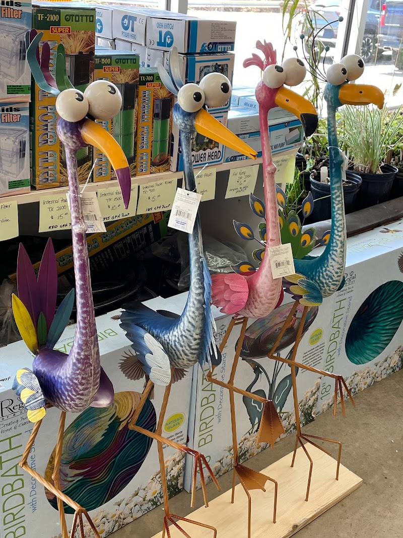 Scotty's North Hills Water Gardens - Photo 5