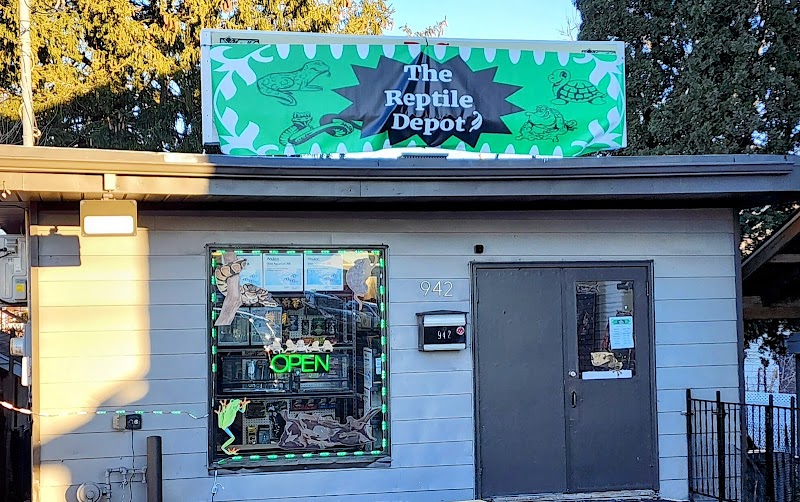 The Reptile Depot - Photo 1