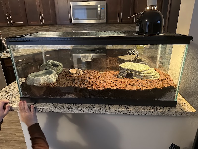 The Reptile Depot - Photo 4