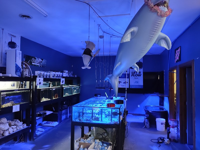 Ellicottville Aquatics LLC. Pet Store - Photo 2