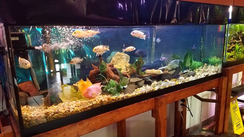 One Fish Two Fish - Photo 3