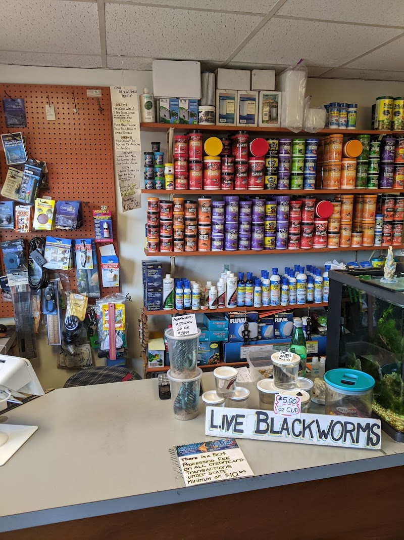 One Fish Two Fish - Photo 4